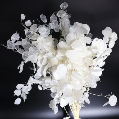 China Home Decor Natural Preserved Lunaria White Silver Blade Flowers Flora Indoor Indoor Home Decoration Wholesale Summer Home Decor for sale