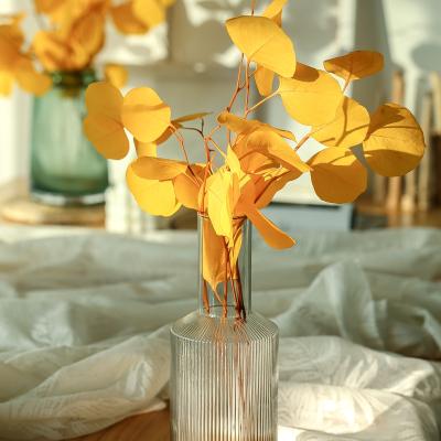 China Home Decor Summer Flora Wholesale Florist Supplies Preserved Flowers Eucalyptus Apple Leaves For Office Furniture for sale