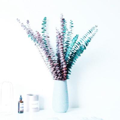 China Decor Summer Flora Wholesale Home Florist Supplies Natural Preserved Flowers Eucalyptus For Interior Home Decoration for sale