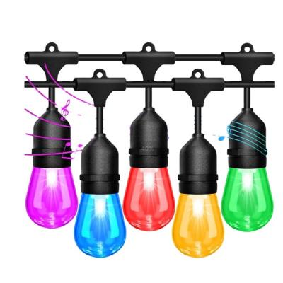 China Garden Hanging 48FT Color Changing Remote Control Outdoor 16 Color LED String Lights for sale