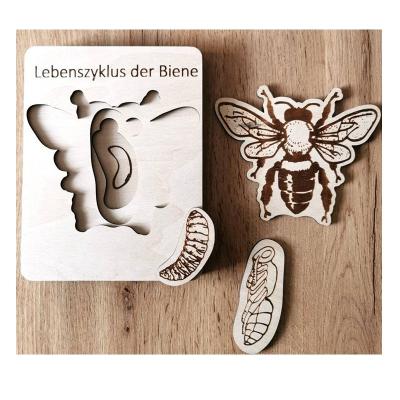 China Art Deco Early Education Wooden Puzzle Bee Frog Life Cycle Decoration Home Children Puzzle Board Teach Toys for sale