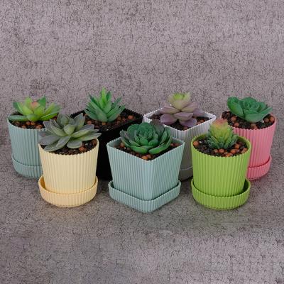 China Creative simple modern indoor office square Bump-resistant and round flower pot Mini Plastic Succulent Flower Resin Pots for sale