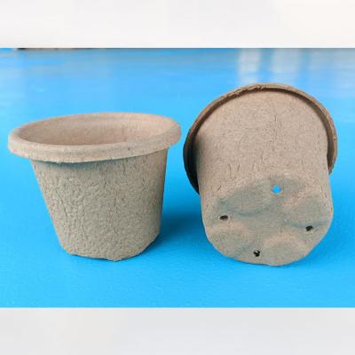 China Eco-Friendly Environmental Protection Garden Peat Rounds Potted Plant Nursery Herb Seed Tray Planting Tools Seedling Starter Cups for sale