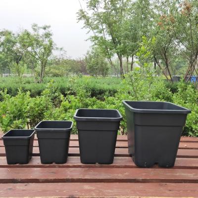 China Black Breathable Square Plastic Flowerpot Gallon Pot Blueberry Bump-Resistant Blueberry Planting Pot Seedling Outdoor Balcony Flowerpot for sale