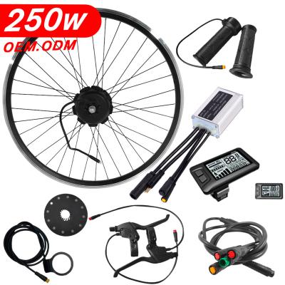 China Amazon sells rear wheel 250w 20