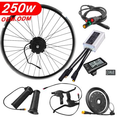 China oem 250w odm rear hub wheel 250w mtb belt drive e-bike electric bicycle conversion kit 24