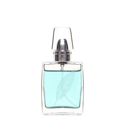 China Wholesale Custom Cosmetic Plastic Aluminum Spray 30ml Transparent Empty Glass Perfume Bottle for sale