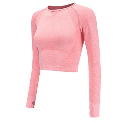 China Mesh Air Sportswear Women's Long Sleeve Yoga Tops Yoga Long Sleeve Too Crop Yoga Breathable Custom Wholesale Women's Tops for sale