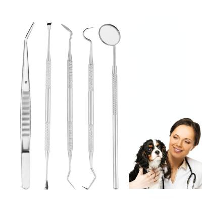 China Sustainable Dental Hygiene Tool Kit Surgical Stainless Steel Dental Instruments For Dogs And Cats for sale