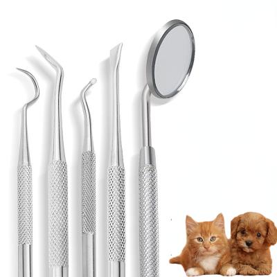 China Viable Pet Teeth Care Dental Pick Stainless Steel Tartar Remover Dental Hygiene Tool Kit for sale