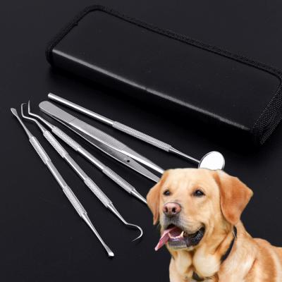 China Sustainable Pet Teeth Cleaning Tools Kit For Home Use Dental Hygiene Kit Professional Teeth Hygienist Tool for sale