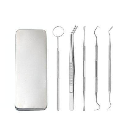 China Durable Dental Oral Care Kit 5 Pcs Stainless Steel Care Tool Plaque Tartar Remover Mouth Mirror Handle for sale