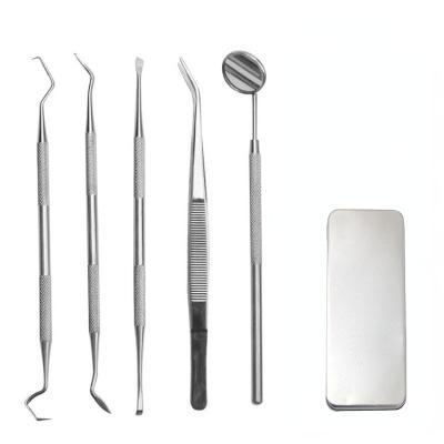 China Durable Calculus And Plaque Remover Set For Clinic Use Tooth Tools Dental Oral Care Kit for sale