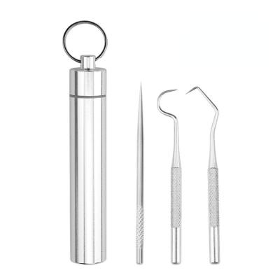 China Portable Mini Oral Care Tools Durable Mouth Cleaner For Dentist 3 Pieces Stainless Steel Outdoor Toothpick for sale