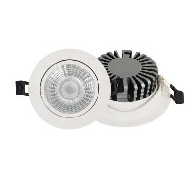 China Shopping Malls High Quality Commercial Lighting 5w 10w 20w 2 Year Warranty Round Led Ultrathin Aluminum Ceiling Light Pineapple Heatsink for sale