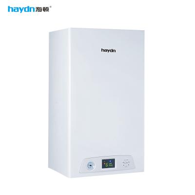 China Domestic Hotel China Wall Hung Combi Room Heating Gas Boiler for sale