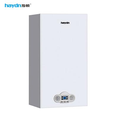 China high quality hotel china shenzhen haydn ce standard hot sale wall mounted gas boiler for sale