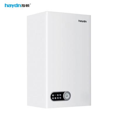 China CE Certified Wall Hung Gas Boiler (China Haydn Gas Combi Bathroom Boiler)--Blue Flame for sale