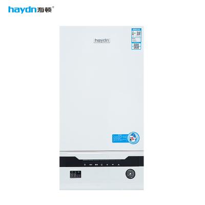 China Hot Selling Hotel Porcelain Wall Hung Gas Boiler For Hot Water And Heating for sale