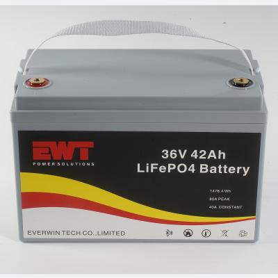 China 36v 42Ah Lithium-Ionen-Batterie 2000Radfahrräder Leichtgewicht Lebensdauerpo4 36v 42ah Batteriepack mit BMS zu verkaufen