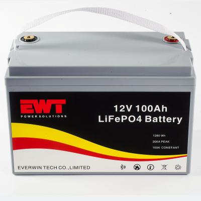 China Lifepo4 12V 100Ah Factory Rack Battery Pack con BMS en venta