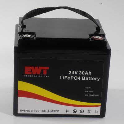 China Lifepo4 Portable Battery Pack 24V 30AH With Bluetooth Can for sale