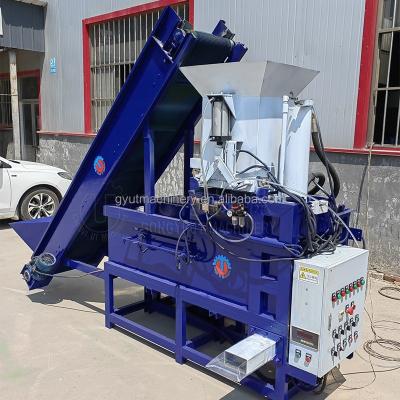 China Automatic Weighting Wood Sawdust Bagging Machine for Small Animal Bedding 0.9kg Per Bag for sale