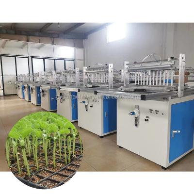 China High Seeding Accuracy Automatic Eggplant Lettuce Cucumber Seeds Trays Planting Machine for Seedlings Transplant for sale