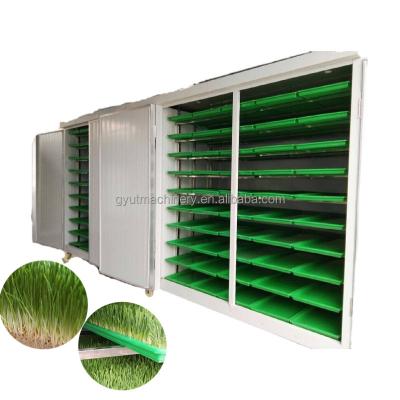 China Fabricante automático de brotes de frijoles para rábanos hierba de trigo brócoli brotes microgreens brotar en venta