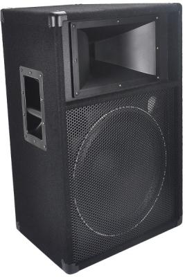 China 300 Watts RMS 15