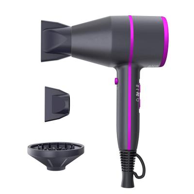 China Salon Ionic Beauty Turbo Hair Dryer Ionic Blow Dryer With Diffuser Plant for sale