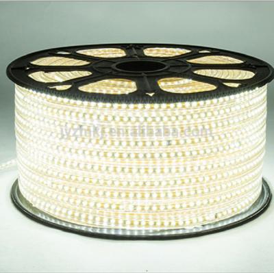 China OEM high quality cheap custom house LANDSCAPE prices warm white led strip lights with long term service for sale