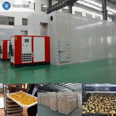 China Warmtepomp droogmachine Drogen van noten rundvlees Fruit droger Industrieel Te koop