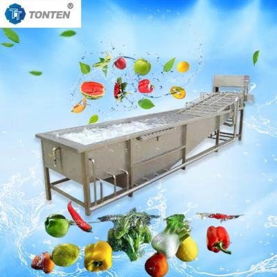 Chine Machine de nettoyage de fruits et légumes à la laitue personnalisée 500-1000 kg/heure à vendre