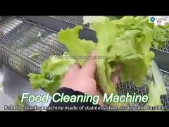 custom lettuce fruit and veg cleaning machine washer 500-1000kg/hour