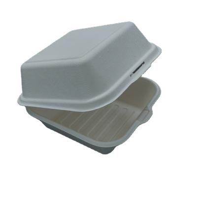 China Euro Style 100% Safe Biodegradable Waterproof Sugar Cane Bagasse Pulp Bento Clamshell Fast Food 6