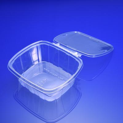 China Disposable container for food pet wholesale disposable plastic take away fruit container for food storage for sale