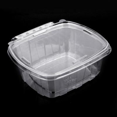 China Rectangular Disposable Plastic Fruit Salad Cutting Fruit Square Disposable Plastic Container for sale