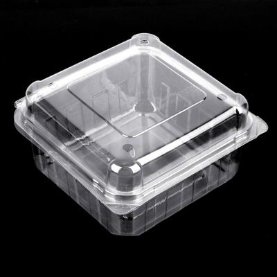 China Recycled Clear Materials Food Safe Place Disposable Plastic Fruit Container Eco - Friendly for sale