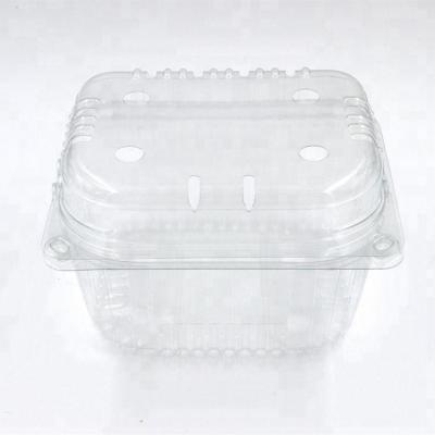 China Disposable Plastic Hinged Clear Food And Fruit Container With Air Holes for sale