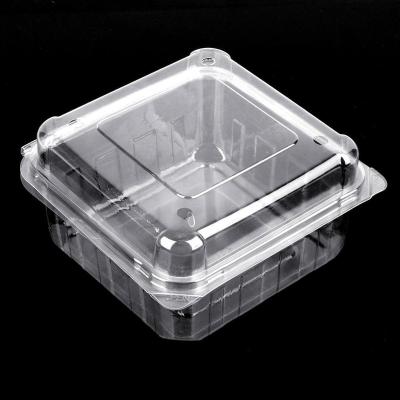 China Disposable Custom Logo PET Material Plastic Fruit Vegetable Packing Storage Boxes for sale