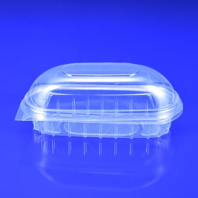 China Disposable container for food PET hot dog packaging plastic clamshell large food container clear boxes for bakery for sale