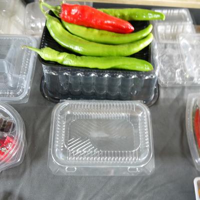 China Disposable container for food clear plastic container for food plastic container transparent clamshell for fruit vegetable for sale