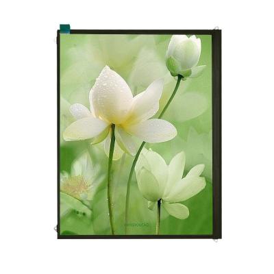 China Color active matrix 9.7'' inch IPS XGA 1024*768 TFT LCD module all viewing angle for sale