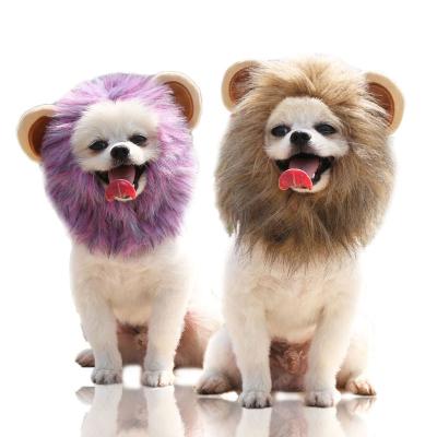 China Viable Rushed Universal Old Pet Clothing Accessories For Outdoor Dog Bravecto Party Corridor for sale