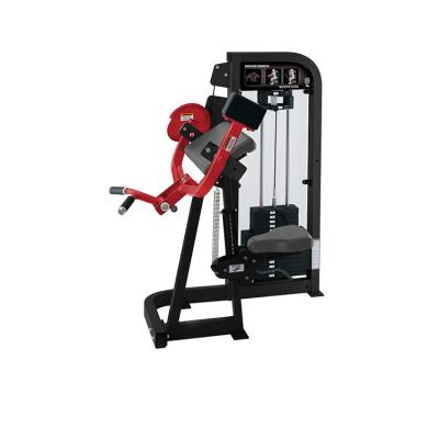 China Commercial Use Heavy Duty Gym Exercise Machine Arm Loop Equipment for sale