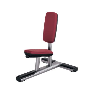 China Best Business Use Gym Fitness Equipment Modern Selling Service Bench For Gym Center for sale