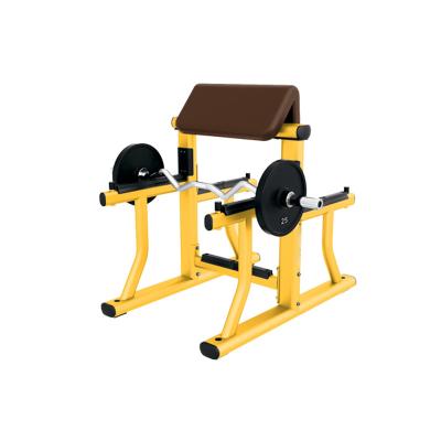 China Modern Wholesale Commercial Sporting Goods Arm Loop Bench Preacher Bench for sale