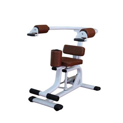 China Bodybuilding factory direct sale equipment torso rotation physical theray machine for sale