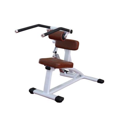 China Strength Training Rehab Gym Equipment Steel Back Extension for sale